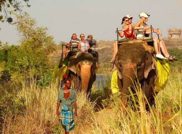 Safari with eliphant